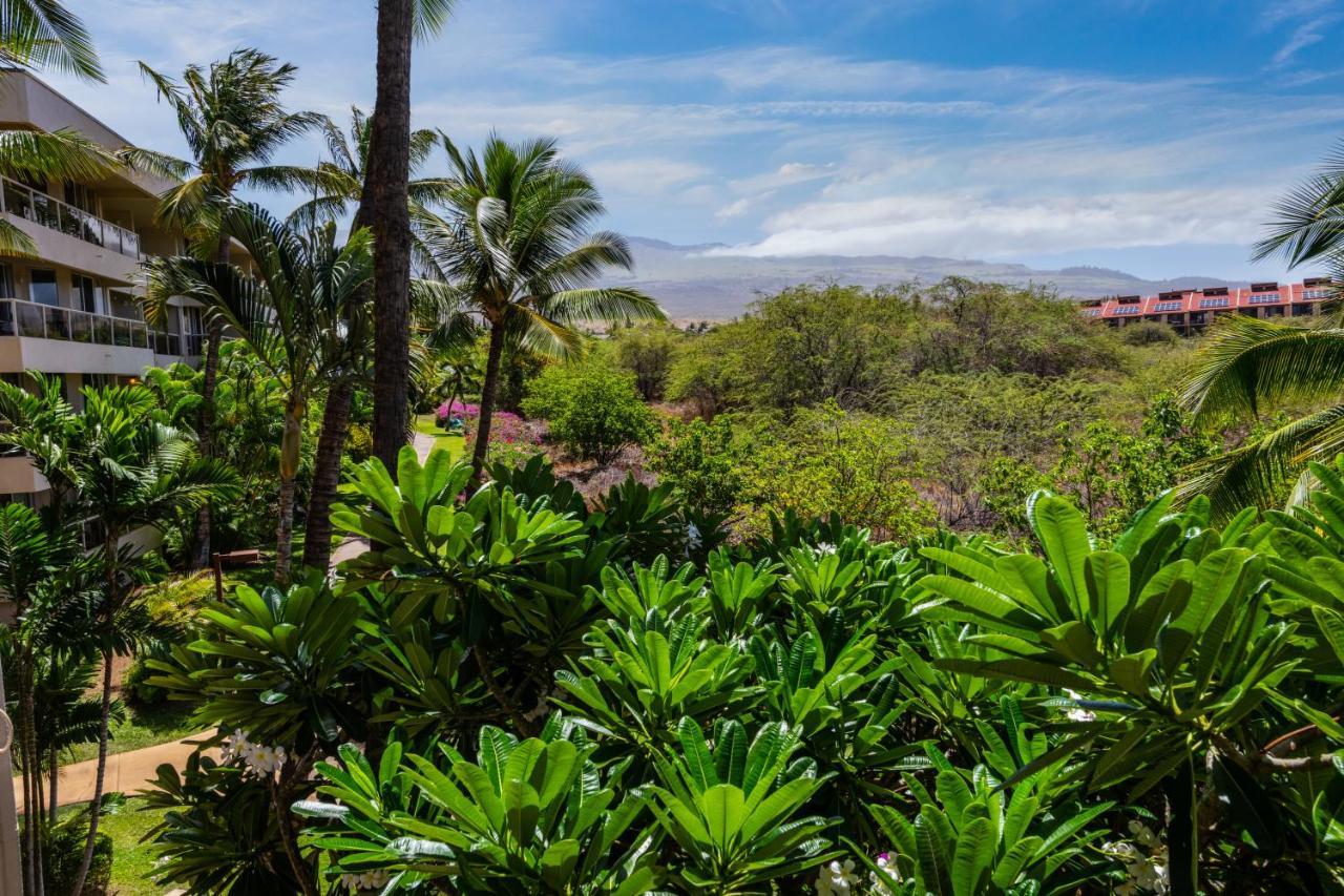 Maui Banyan H311 1Bd 2Ba 3 Min Walk To The Beach In The Heart Of South Kihei! Wailea  Eksteriør bilde