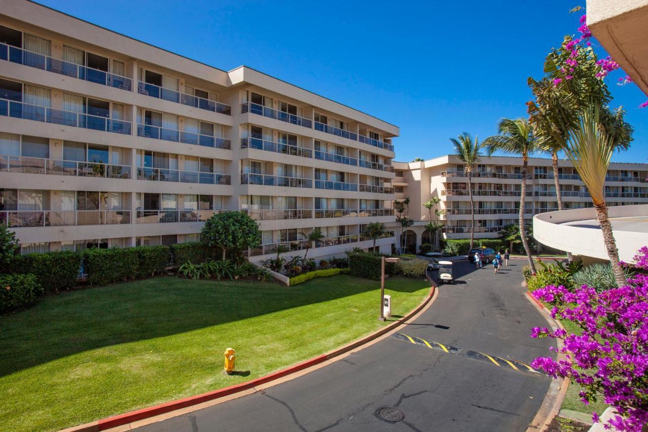 Maui Banyan H311 1Bd 2Ba 3 Min Walk To The Beach In The Heart Of South Kihei! Wailea  Eksteriør bilde