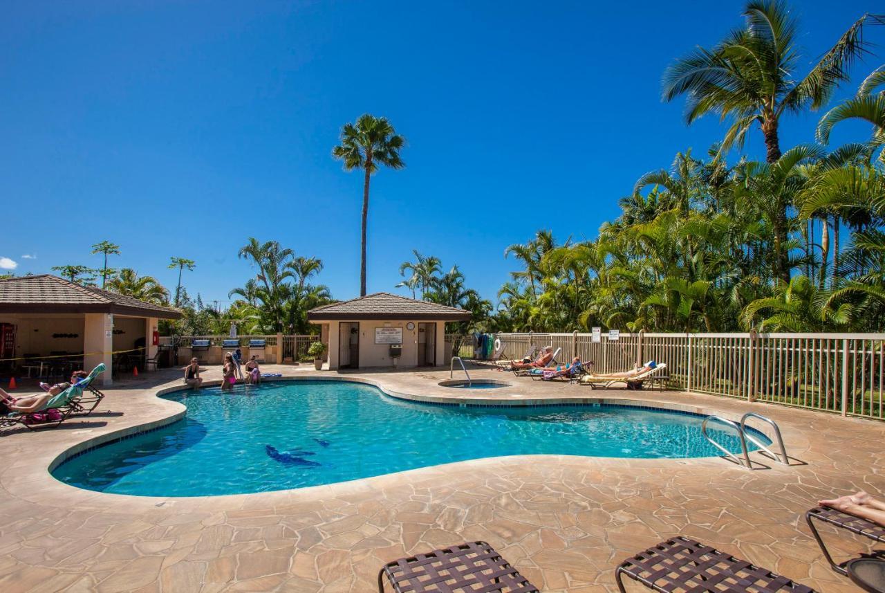 Maui Banyan H311 1Bd 2Ba 3 Min Walk To The Beach In The Heart Of South Kihei! Wailea  Eksteriør bilde