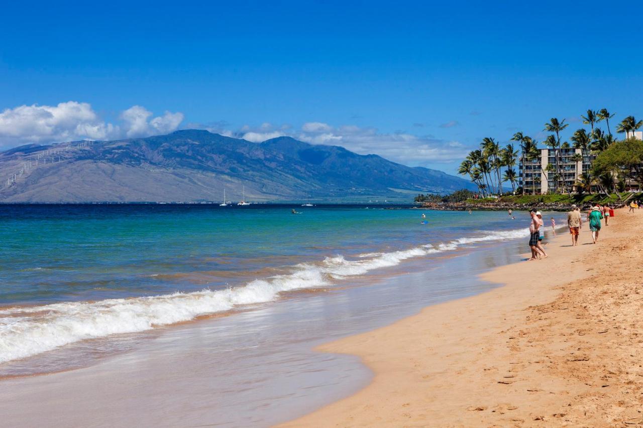 Maui Banyan H311 1Bd 2Ba 3 Min Walk To The Beach In The Heart Of South Kihei! Wailea  Eksteriør bilde