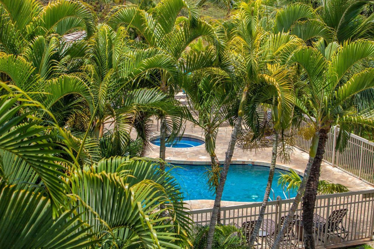 Maui Banyan H311 1Bd 2Ba 3 Min Walk To The Beach In The Heart Of South Kihei! Wailea  Eksteriør bilde